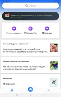 Picture Insect – распознавание насекомых 2.8.33. Скриншот 10