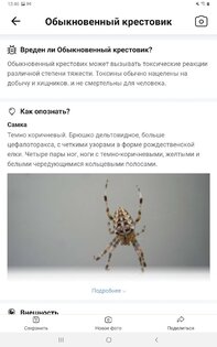 Picture Insect – распознавание насекомых 2.8.33. Скриншот 13