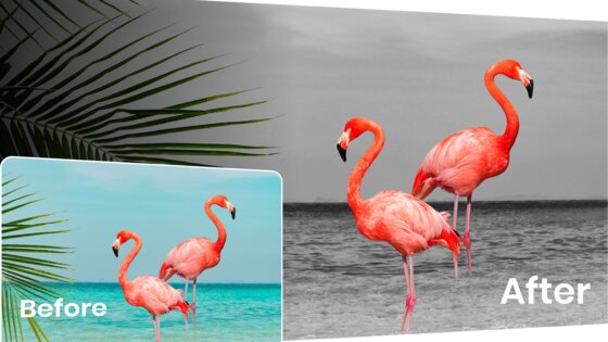 Color Pop – цветовые эффекты 6.8. Скриншот 10