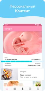 Беременность 1.4.1. Скриншот 1