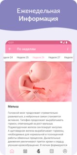 Беременность 1.4.1. Скриншот 5