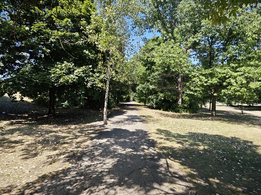 Xiaomi сделала складной смартфон, который хочется купить. Судите сами — обзор Mix Fold 3 — Камера. 24