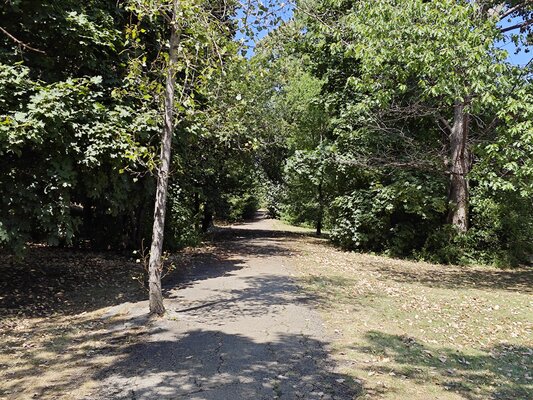 Xiaomi сделала складной смартфон, который хочется купить. Судите сами — обзор Mix Fold 3 — Камера. 48