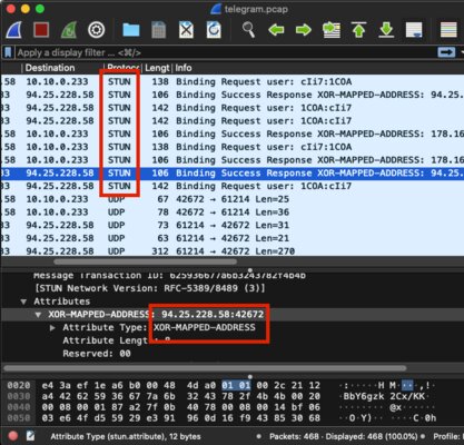 Я тебя по Telegram вычислю: программист показал, как узнать IP собеседника