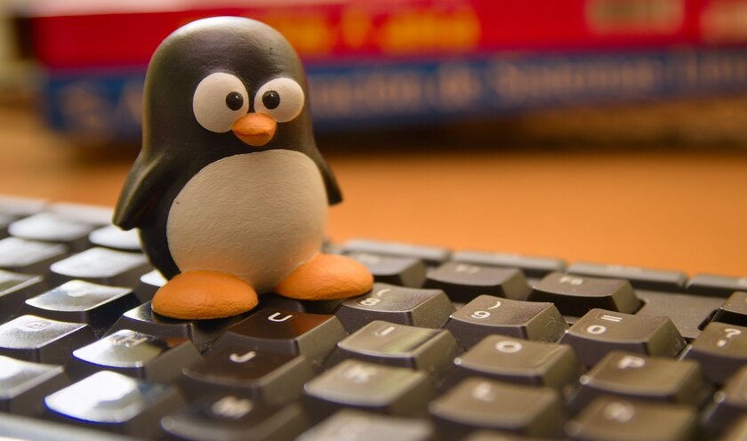 Поддержку LTS-сборок Linux хотят сократить до 2 лет. Теперь уже реальных 2 лет
