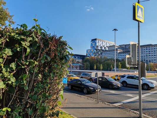 В хорошем смысле из старой школы. Опыт использования HONOR 90 — Камеры. 6