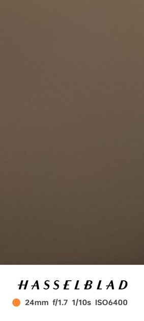 У OPPO Find N3 странная камера, но снимает как монстр. Особенно зум 3×, теперь без него не фоткаю