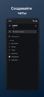 Ozon Chatzone 3.20.0. Скриншот 4