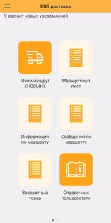 DNS Курьер 4.2.5. Скриншот 5