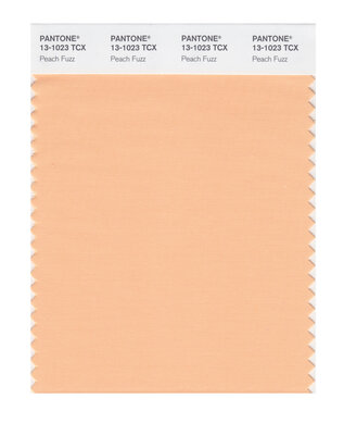 Выбран главный цвет 2024 года — это «Персиковый пух». Вот что он символизирует