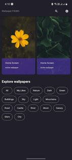 Wallpaper FXDBG 0.0.2. Скриншот 1