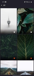 Wallpaper FXDBG 0.0.2. Скриншот 2
