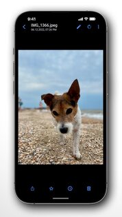 Right Gallery 6.5.1. Скриншот 6