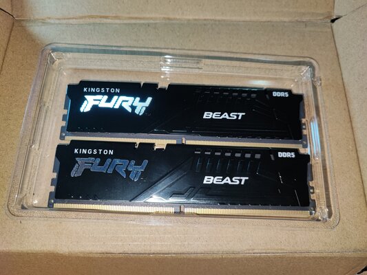 Kingston Fury Beast DDR5