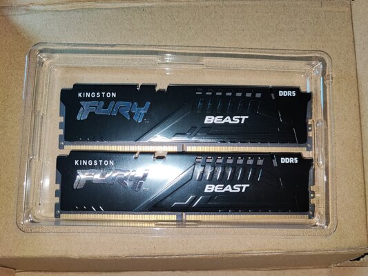Kingston Fury Beast DDR5