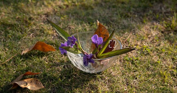 Среднебюджетные камерофоны существуют? Отобрали недорогие смартфоны с невероятными камерами