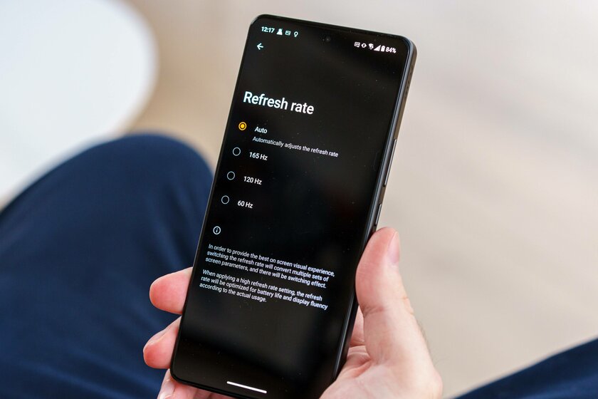 Этот геймерский смартфон хочется купить вместо обычного. Обзор ASUS ROG Phone 8 (Pro) — Дисплей. 4