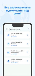 РосМигрант 2.0.33. Скриншот 5