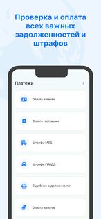 РосМигрант 2.0.33. Скриншот 6