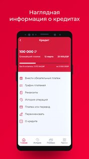 Солидарность 25.11.17. Скриншот 6