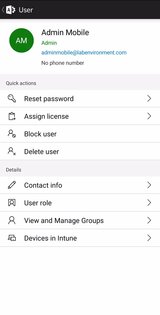 Microsoft 365 Admin 6.0.0.0. Скриншот 3