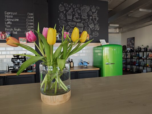 Лучший Xiaomi за последние годы: обзор компактного Xiaomi 14, рвущего крупных конкурентов — Камеры. 12
