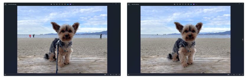 У Windows 11 крупное обновление: умная компоновка окон, нейрофункции редактирования фото и другое