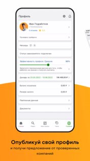 Наймикс 2.38.27. Скриншот 3