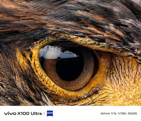 Так снимает Vivo X100 Ultra