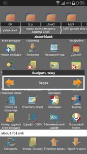 MW browser 2.00.04. Скриншот 5