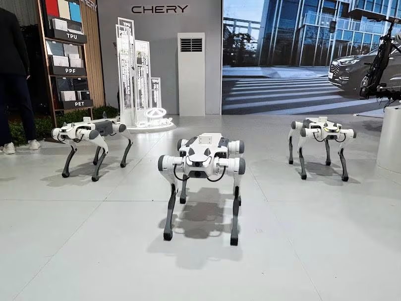 Chery представил робособаку Дорри, она вынесла мяч во время футбольного матча