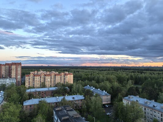 Обзор Huawei Pura 70 Pro: новая глава в истории фотофлагманов — Камера. 13