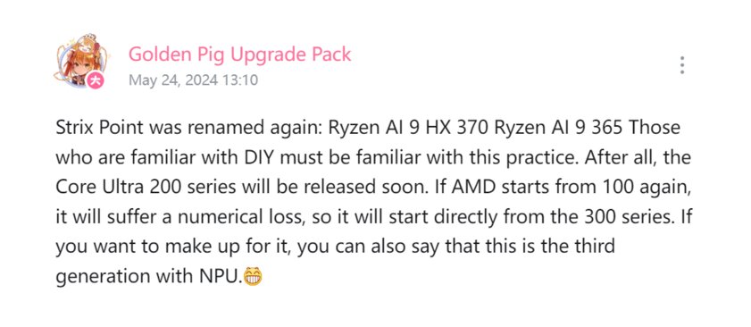 Ryzen AI 300 лучше Core Ultra 200: AMD изменит брендинг новых чипов, чтобы обойти Intel