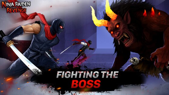 Ninja Raiden Revenge 3.0.3. Скриншот 3