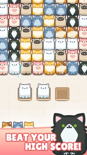 Box Cat Jam 6.0.1. Скриншот 21