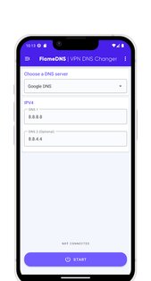 FlameDNS 5.7. Скриншот 1