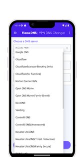 FlameDNS 5.7. Скриншот 2
