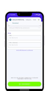 FlameDNS 5.7. Скриншот 3