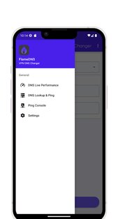 FlameDNS 5.7. Скриншот 5