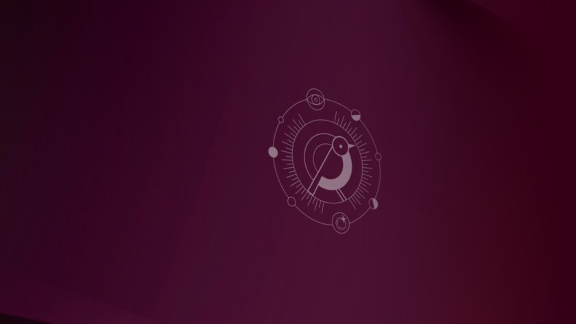 Ubuntu 24.10 получила обои и маскот — линейную птичку. А ещё сюрприз в честь 20-летия