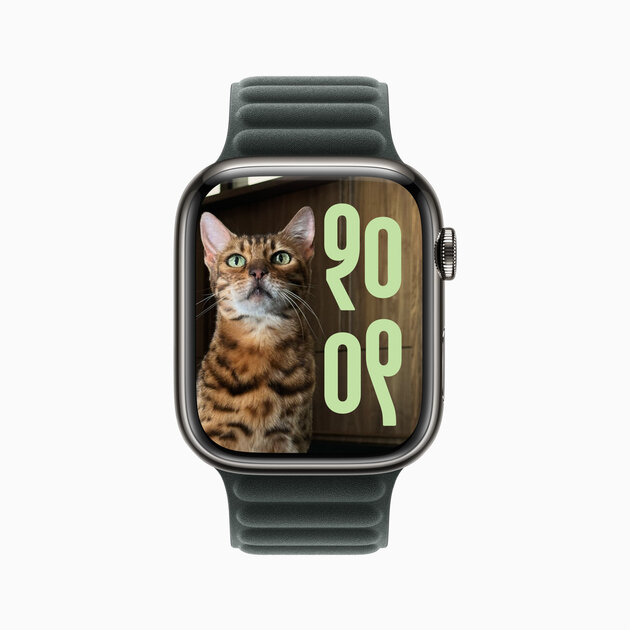 Рейтинг здоровья всего тела и метрика усилий: Apple выпустила watchOS 11 — что нового