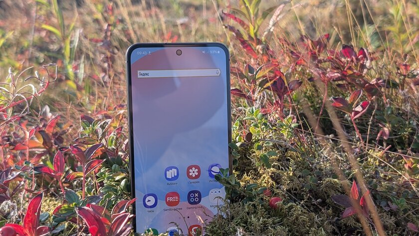 У Samsung идеальный смартфон? Обзор Galaxy S24 FE: не хуже флагманов, но с адекватной ценой — Дисплей. 3