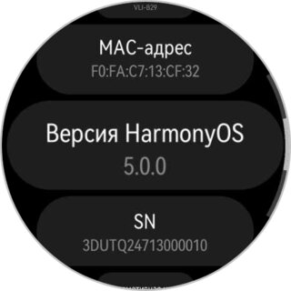 Идеал: внутри умные часы, а снаружи — классика. Обзор HUAWEI WATCH GT 5 Pro