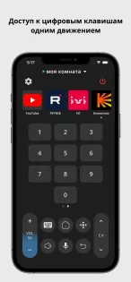 Remote ATV 6.0.3. Скриншот 6