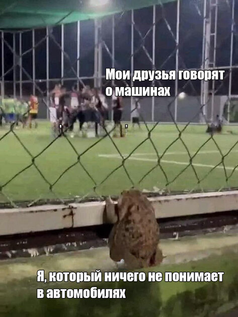 Когда в компании говорят о том, чего ты не понимаешь