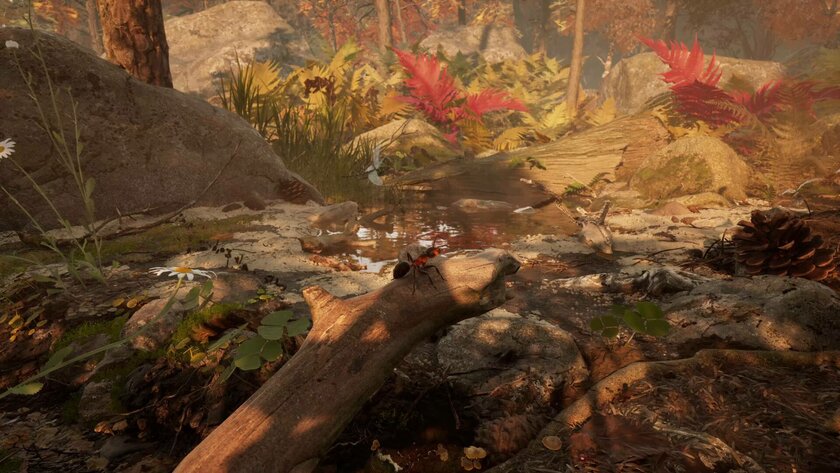 В Steam вышел фотореалистичный симулятор муравья Empire of the Ants за 2000 рублей