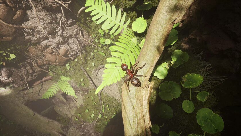 В Steam вышел фотореалистичный симулятор муравья Empire of the Ants за 2000 рублей