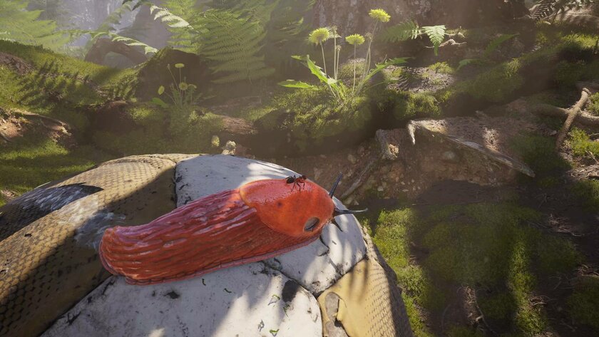 В Steam вышел фотореалистичный симулятор муравья Empire of the Ants за 2000 рублей