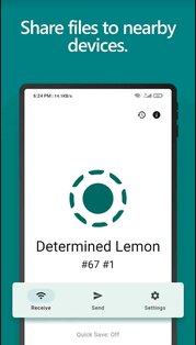 LocalSend 1.18.0. Скриншот 1