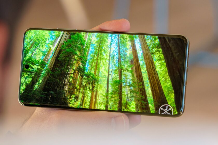 Обзор глобального Vivo X200 Pro (и сравнение с китайским): конкурентам нечем крыть — Дисплей. 1